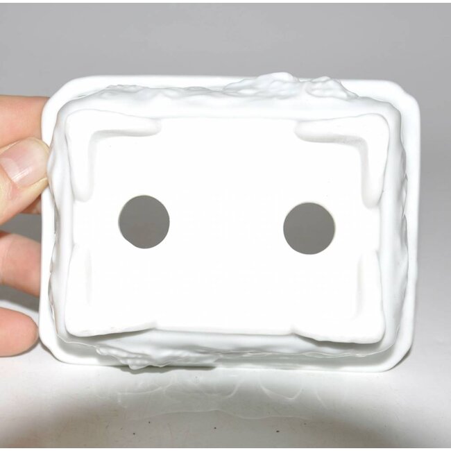 Porcelain dragon, shohin pot S