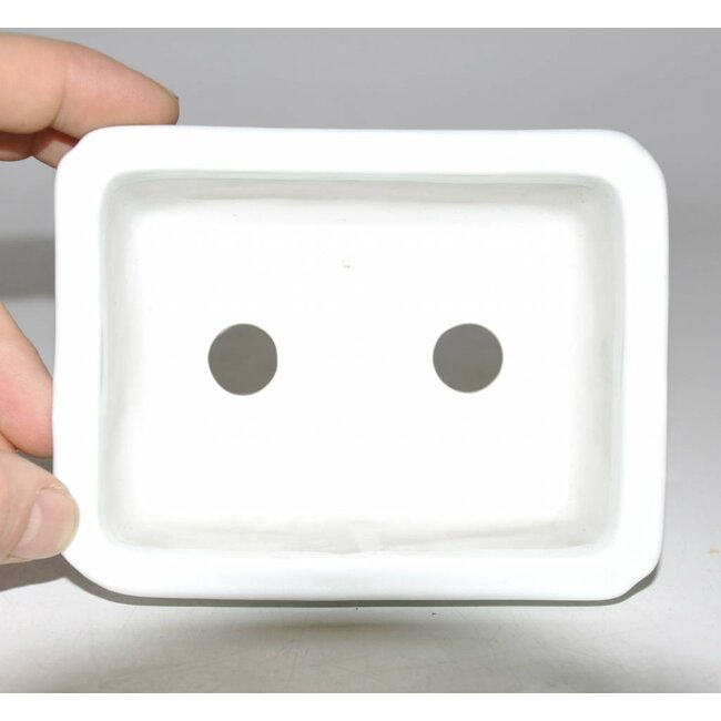 Porcelain dragon, shohin pot S