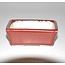 Bonsai pot red 8 cm