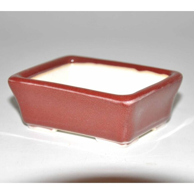 Bonsai pot red 8 cm