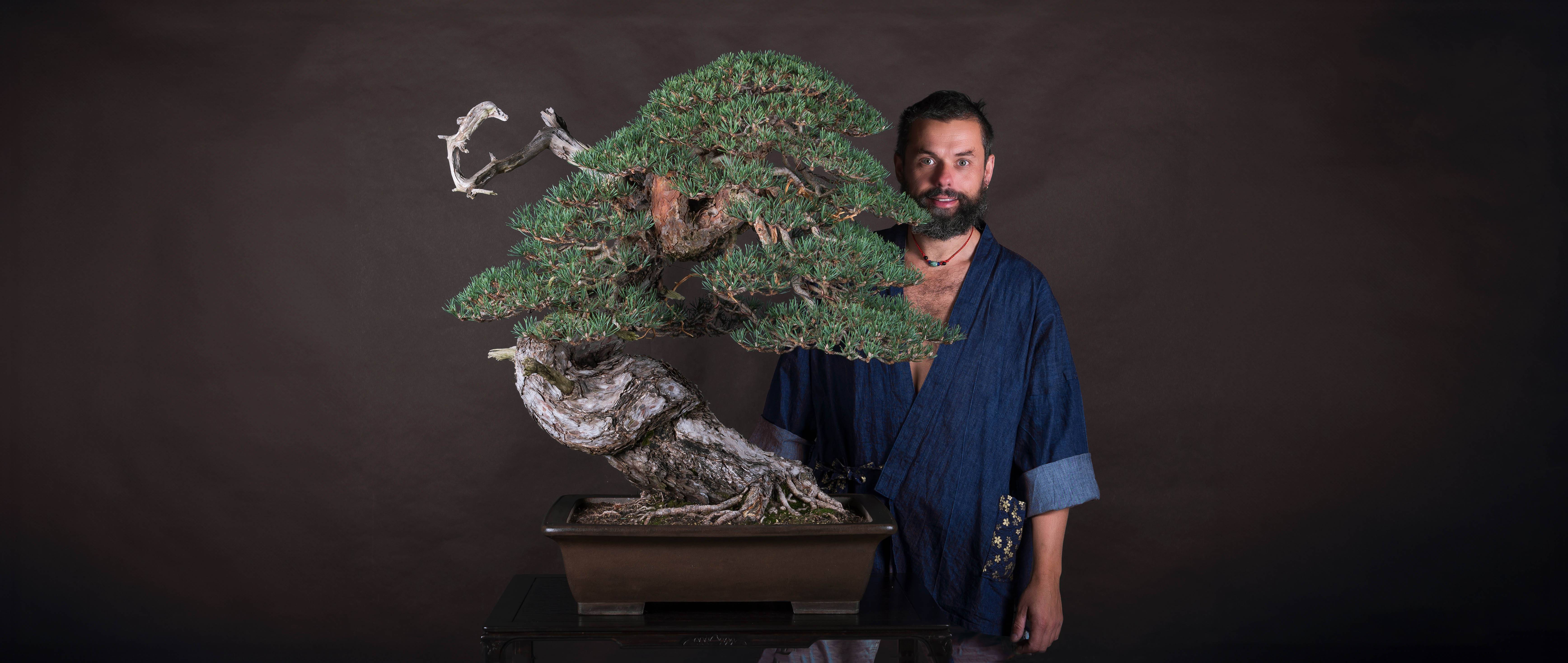 Bonsai Plaza Najaarsuitverkoop 2025