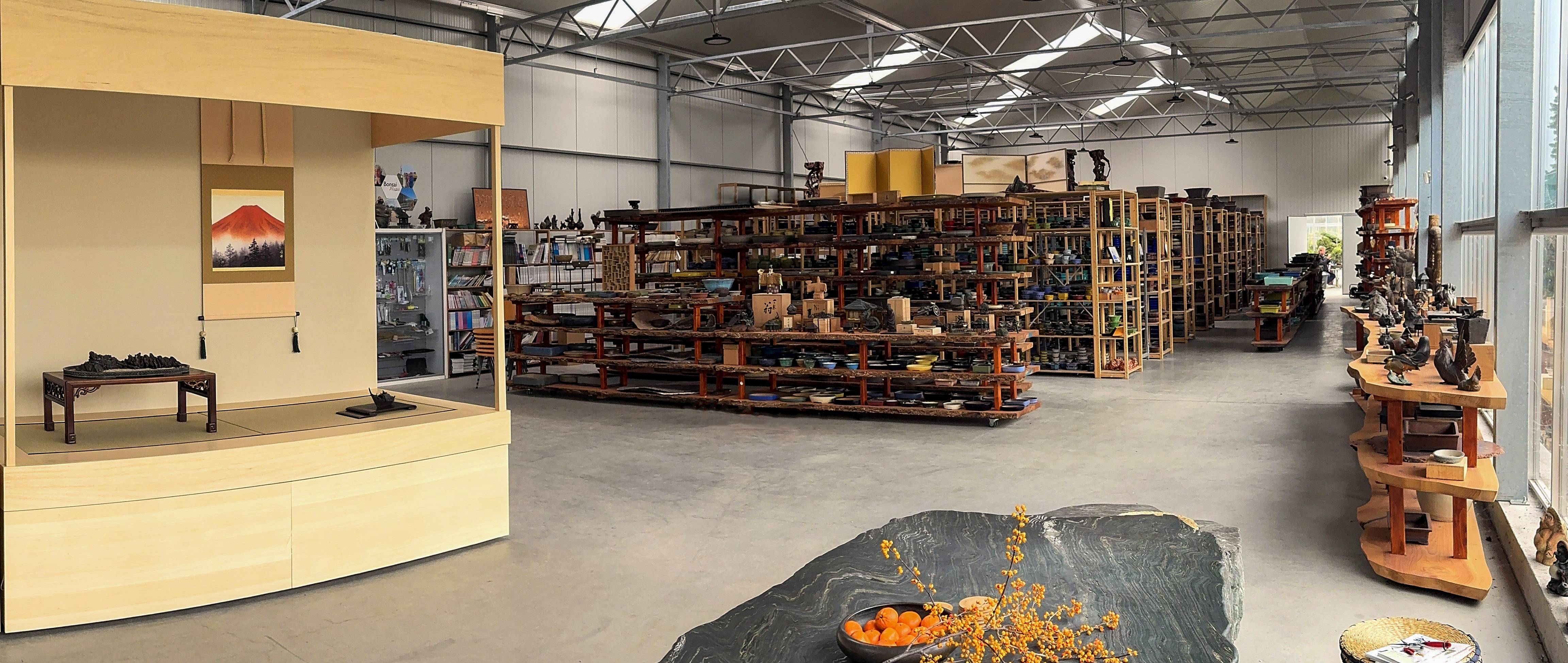 Thoughtful presents for bonsai enthusiasts