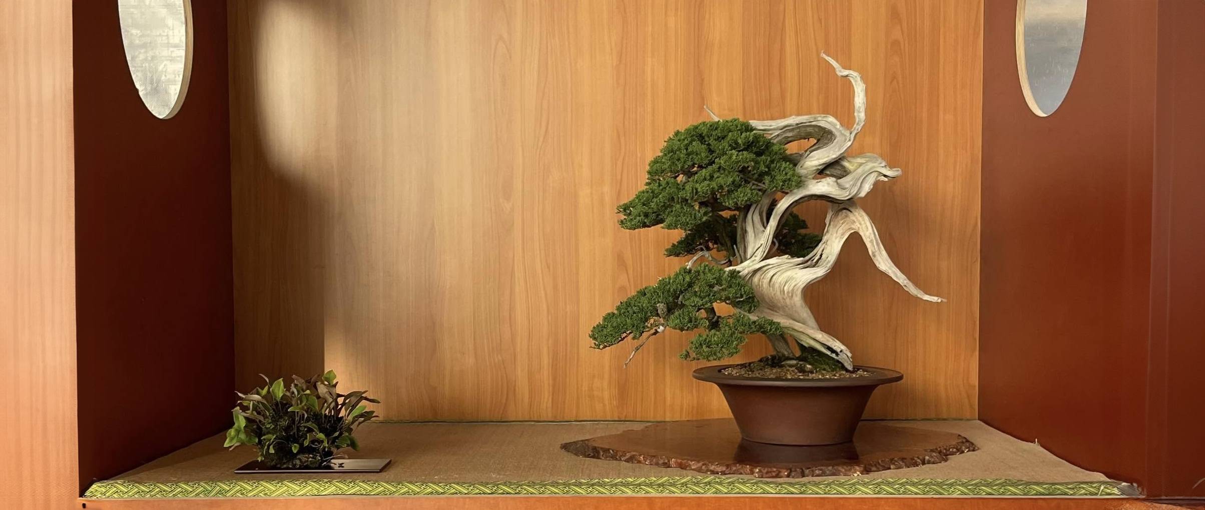 Herramientas para un trabajo invernal tranquilo