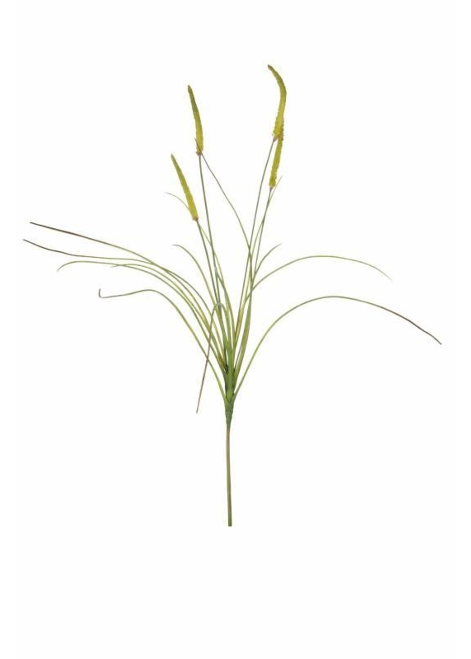 Lene Bjerre Flora grass stem