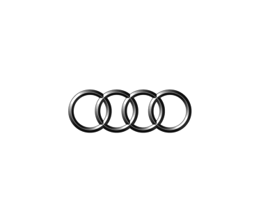 Laadpaal voor Audi