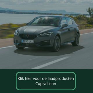 Laadkabel voor Cupra Leon