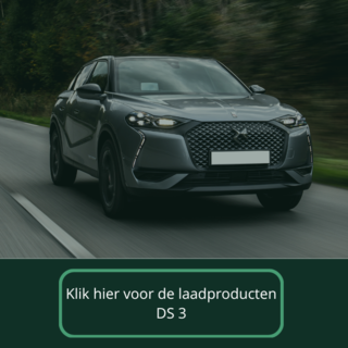 Mobiele thuislader voor DS 3