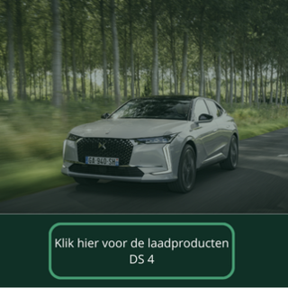 Mobiele thuislader voor DS 4