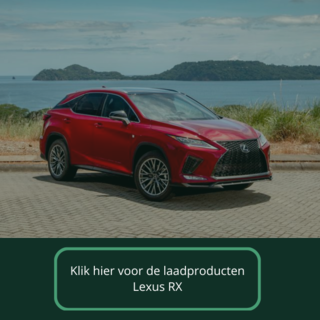 Laadkabel voor Lexus RX