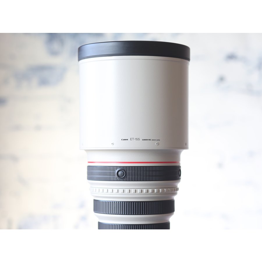 Canon EF 400mm f/2.8L IS USM-9