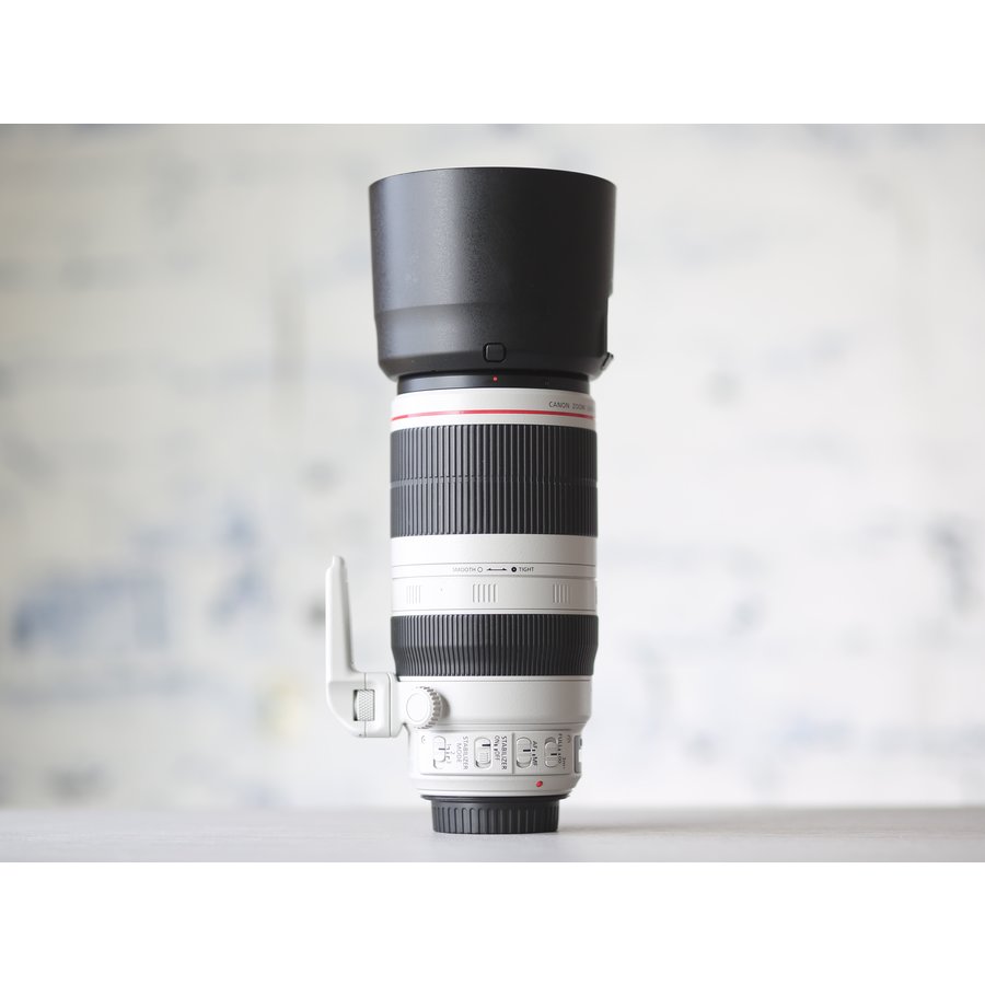 Canon EF 100-400mm f/4.5-5.6L IS II USM-3