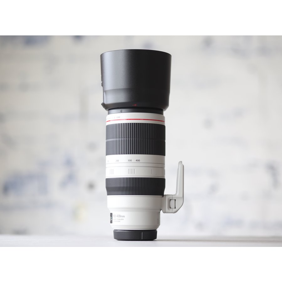 Canon EF 100-400mm f/4.5-5.6L IS II USM-4