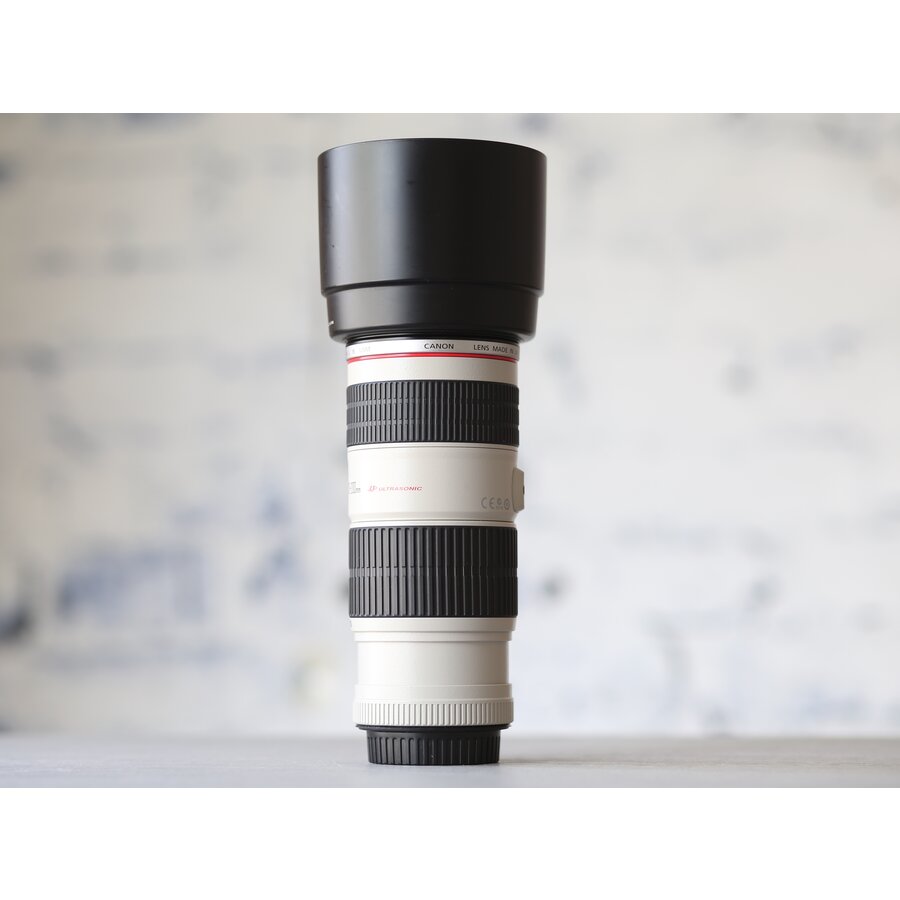 Canon EF 70-200mm f/4L IS USM-3