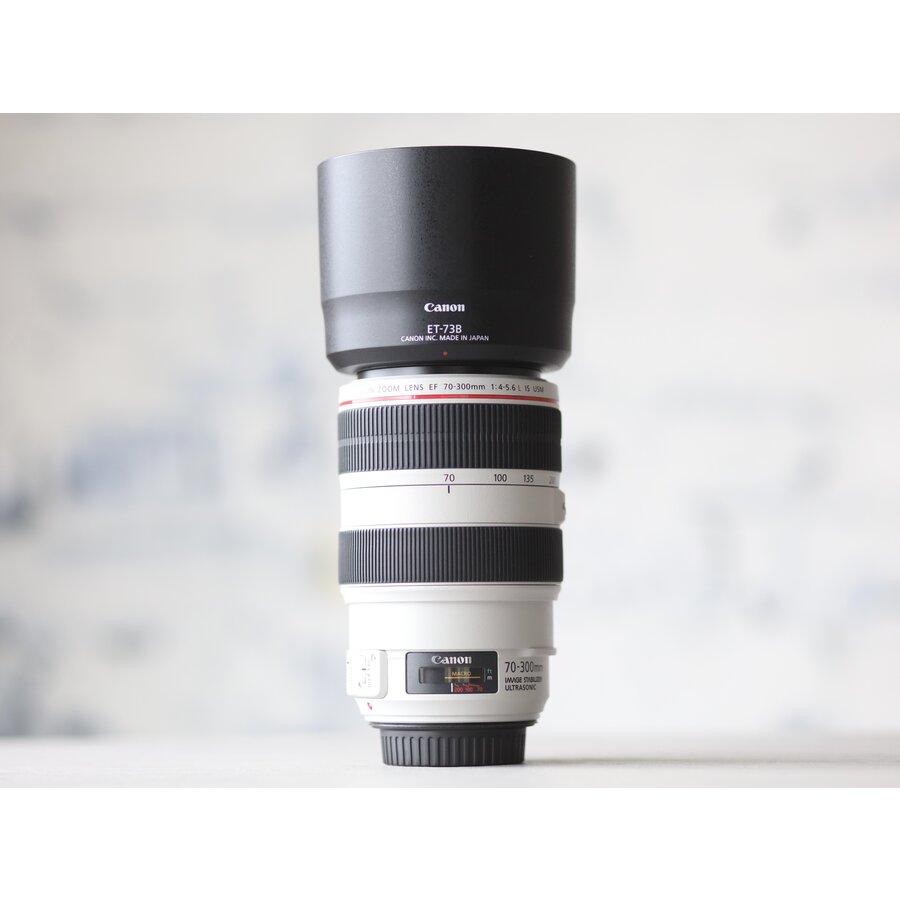 Canon EF 70-300mm f/4-5.6L IS USM-2