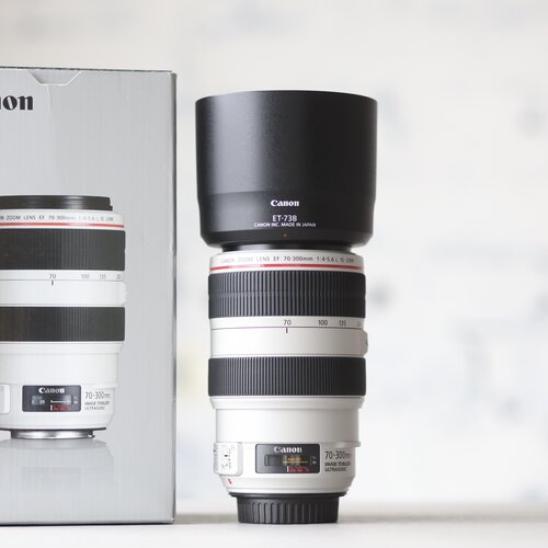 Canon EF 70-300mm f/4-5.6L IS USM 