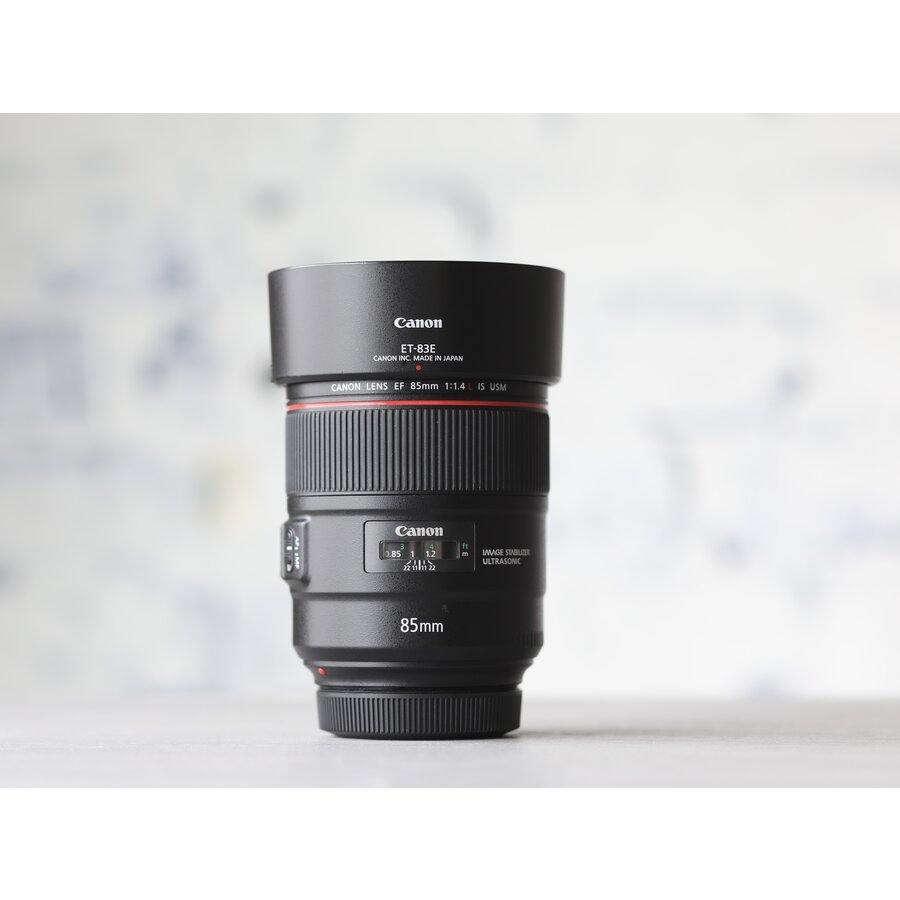 Canon EF 85mm f/1.4L IS USM-1