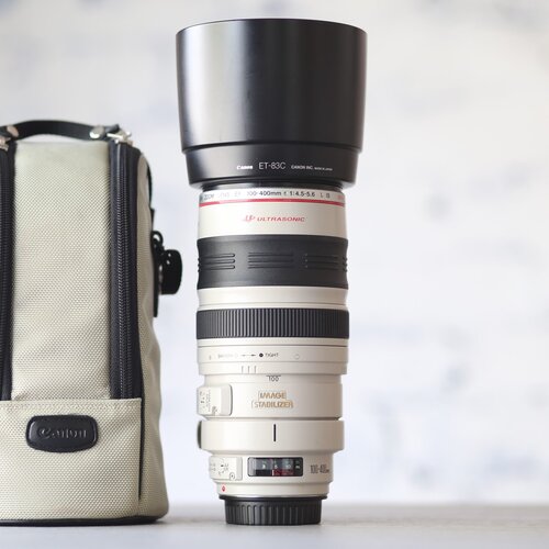 Canon EF 100-400mm f/4.5-5.6L IS USM 
