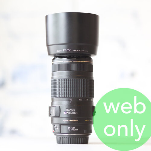 Canon EF 70-300mm f/4-5.6 IS USM 
