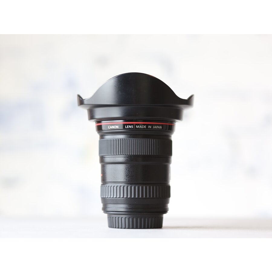 Canon EF 17-40mm f/4 L USM-2