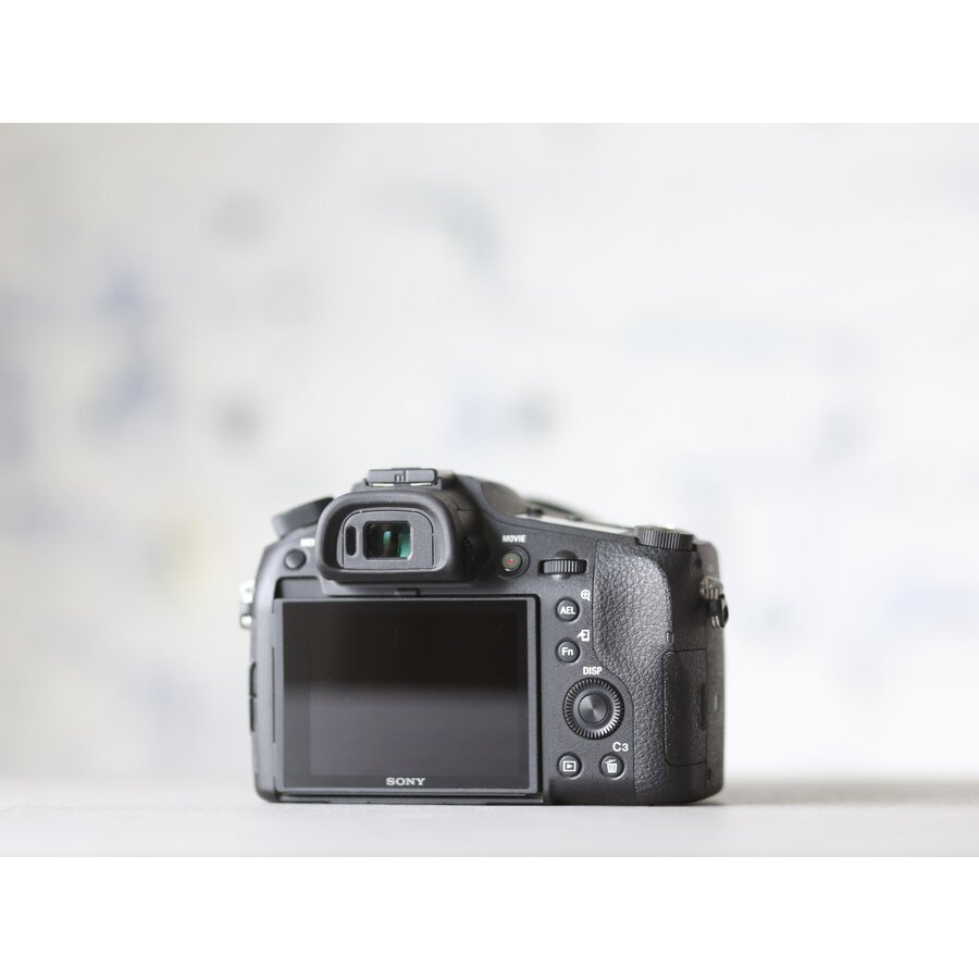 Sony RX10 mark IV-5