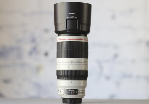 Canon EF 100-400mm f/4.5-5.6L IS II USM 