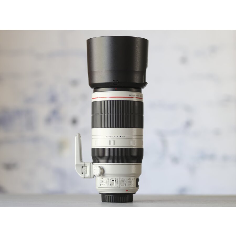 Canon EF 100-400mm f/4.5-5.6L IS II USM-2
