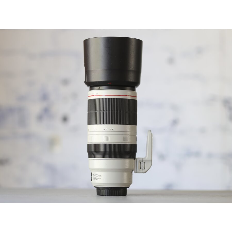 Canon EF 100-400mm f/4.5-5.6L IS II USM-3