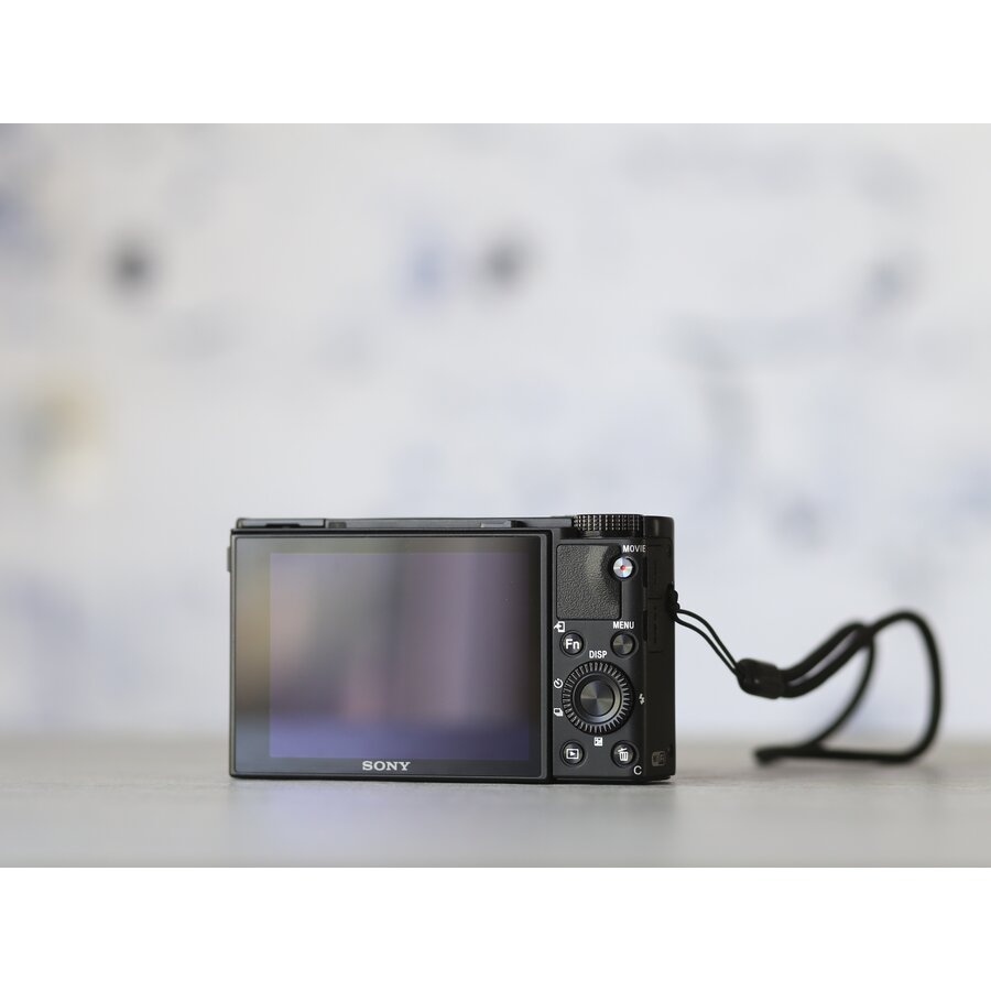 Sony Cybershot RX100 VI-2