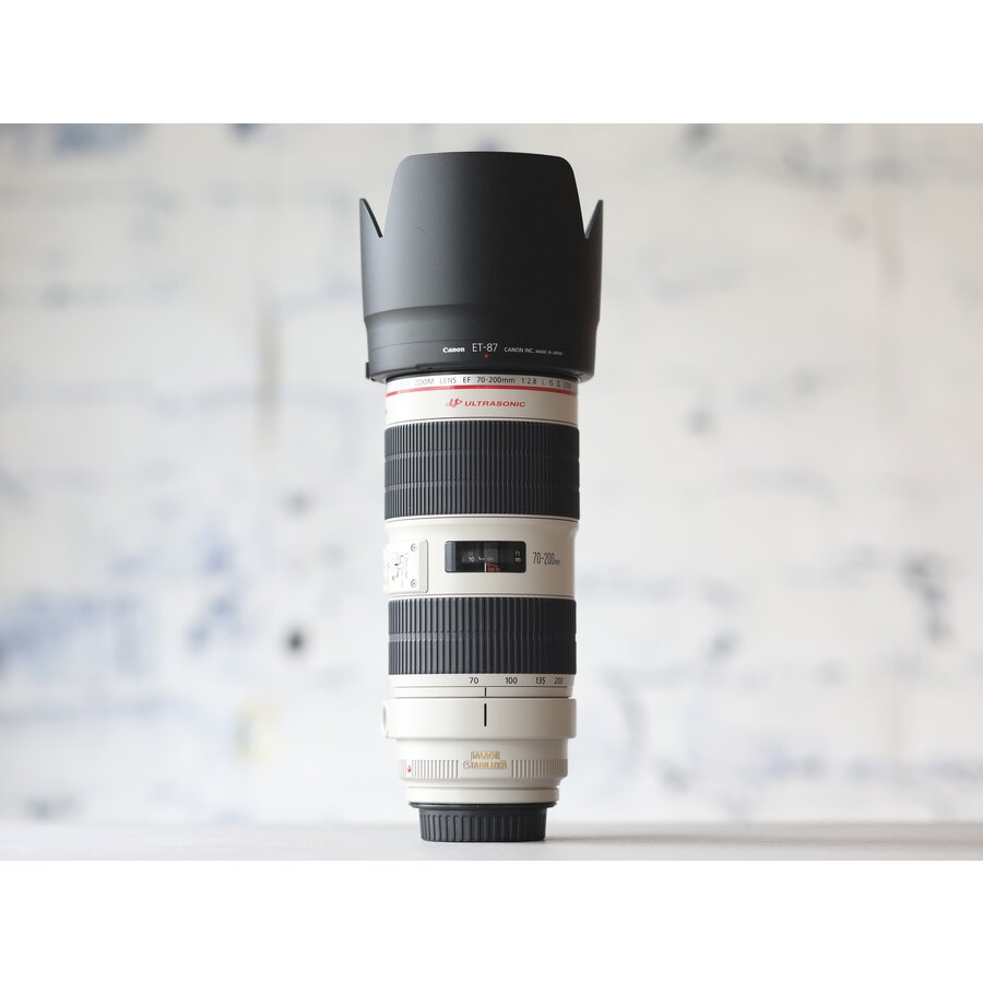 Canon EF 70-200mm f/2.8L IS II USM-2