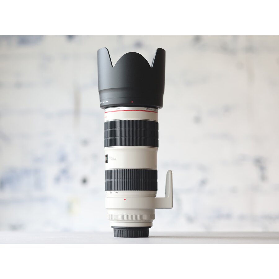 Canon EF 70-200mm f/2.8L IS II USM-3