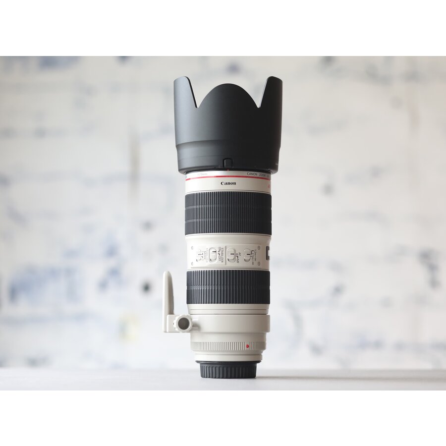 Canon EF 70-200mm f/2.8L IS II USM-4