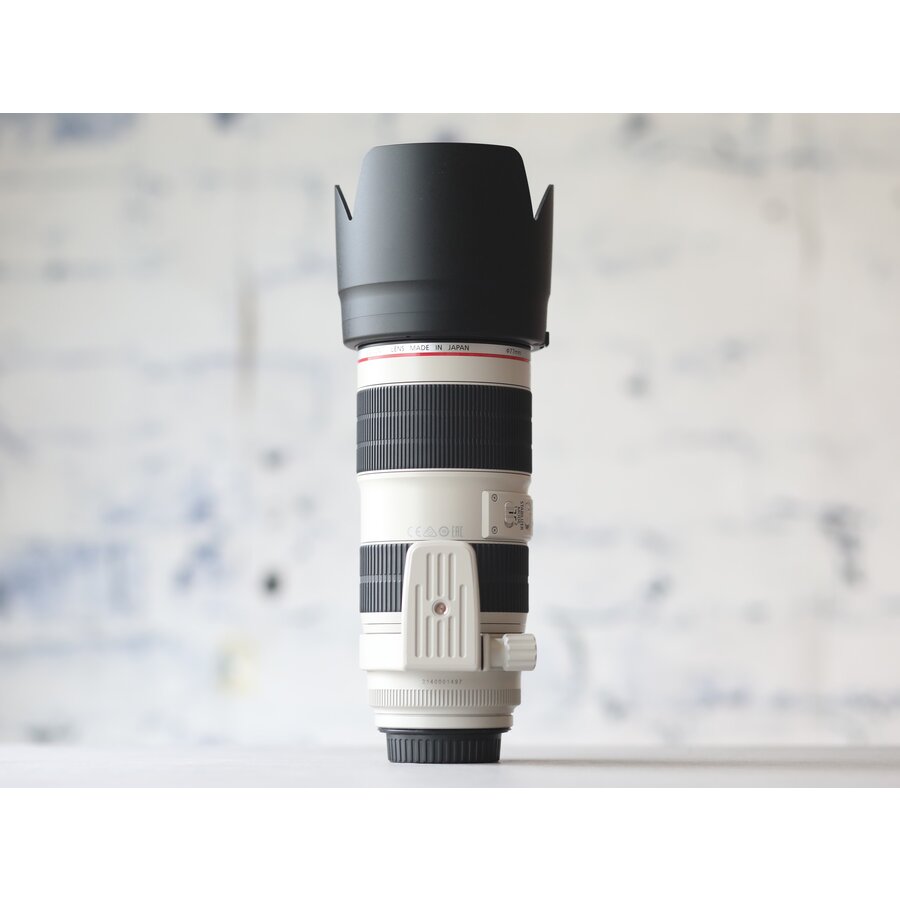 Canon EF 70-200mm f/2.8L IS II USM-5