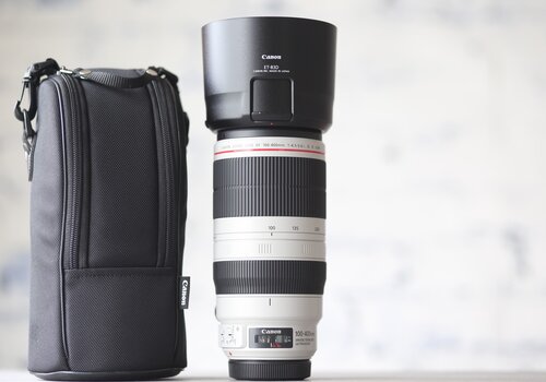 Canon EF 100-400mm f/4.5-5.6L IS II USM 