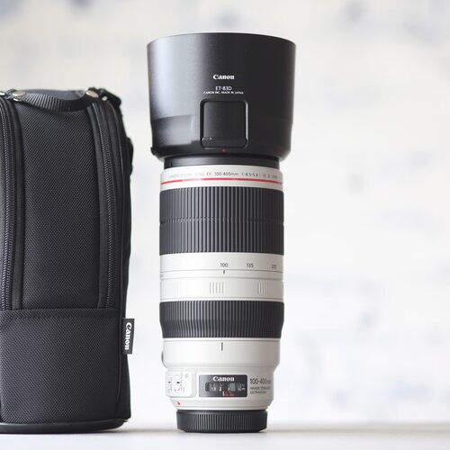 Canon EF 100-400mm f/4.5-5.6L IS II USM 