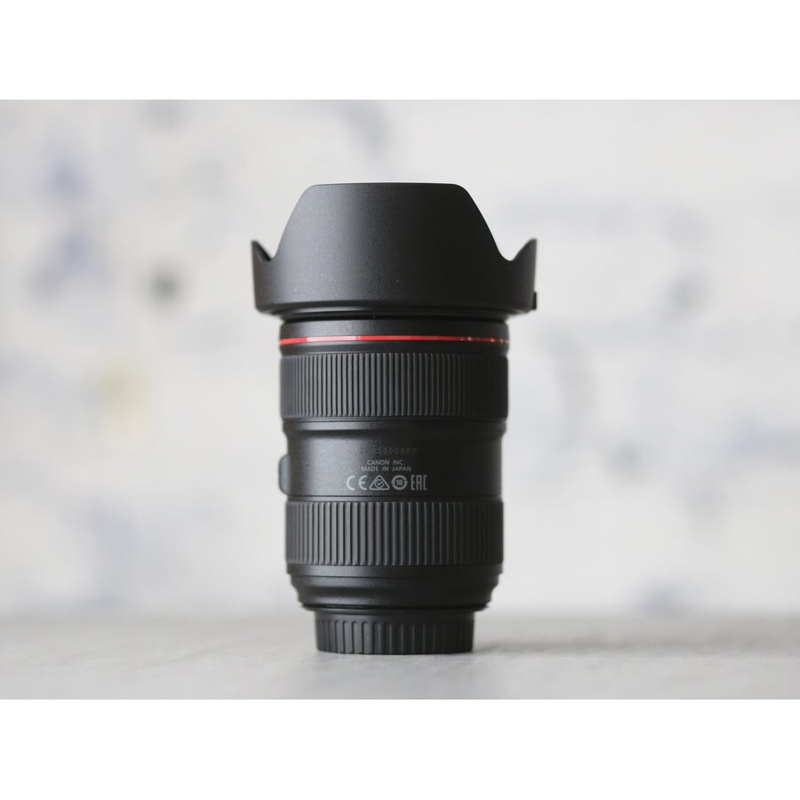 Canon EF 24-70mm f/2.8L II USM-2