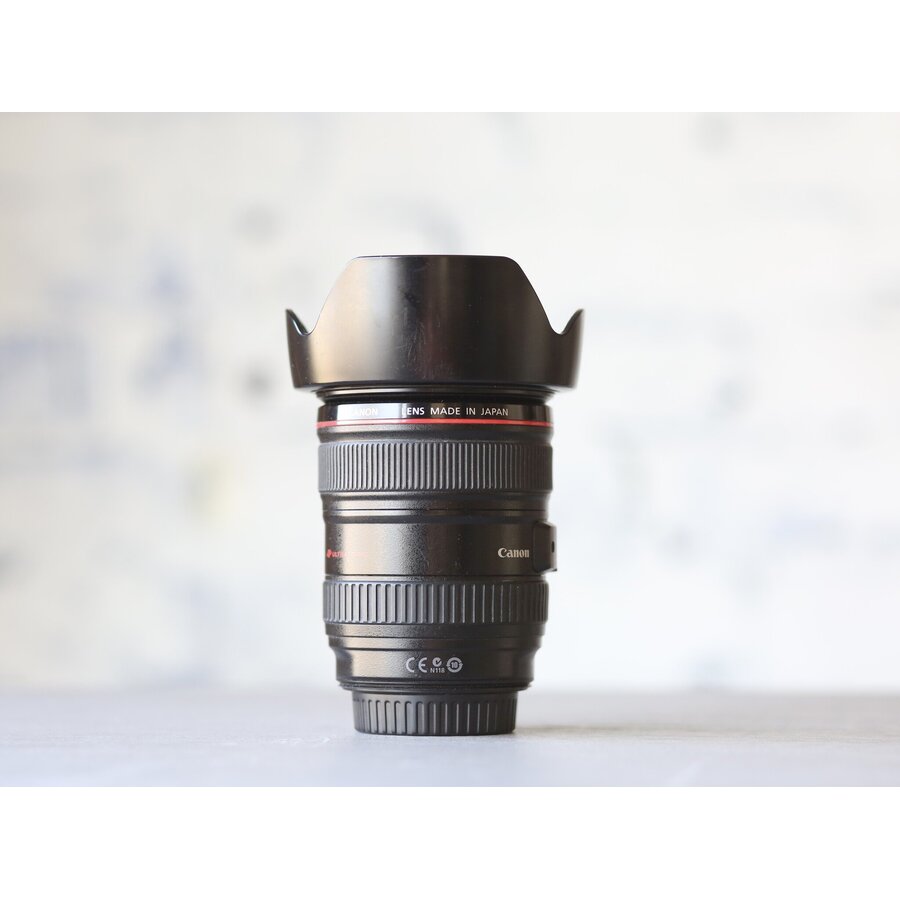 Canon EF 24-105mm f/4L IS USM-2