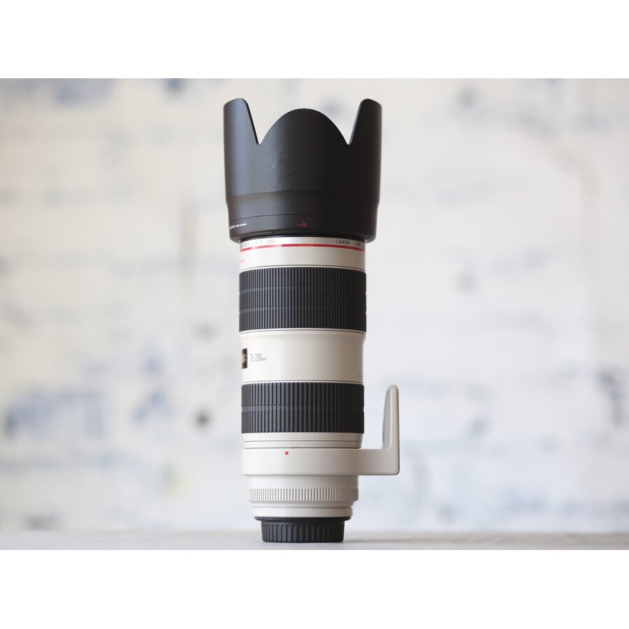 Canon EF 70-200mm f/2.8L IS II USM-3