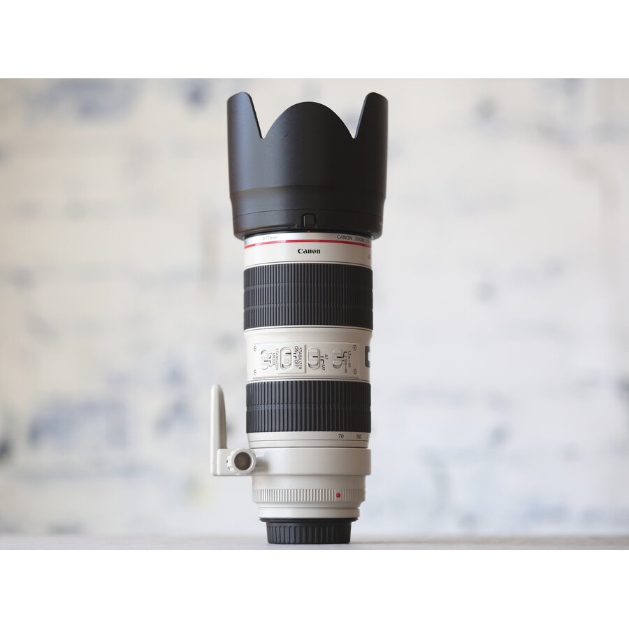 Canon EF 70-200mm f/2.8L IS II USM-4