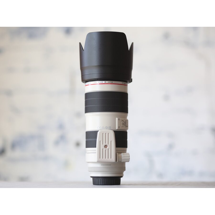 Canon EF 70-200mm f/2.8L IS II USM-5