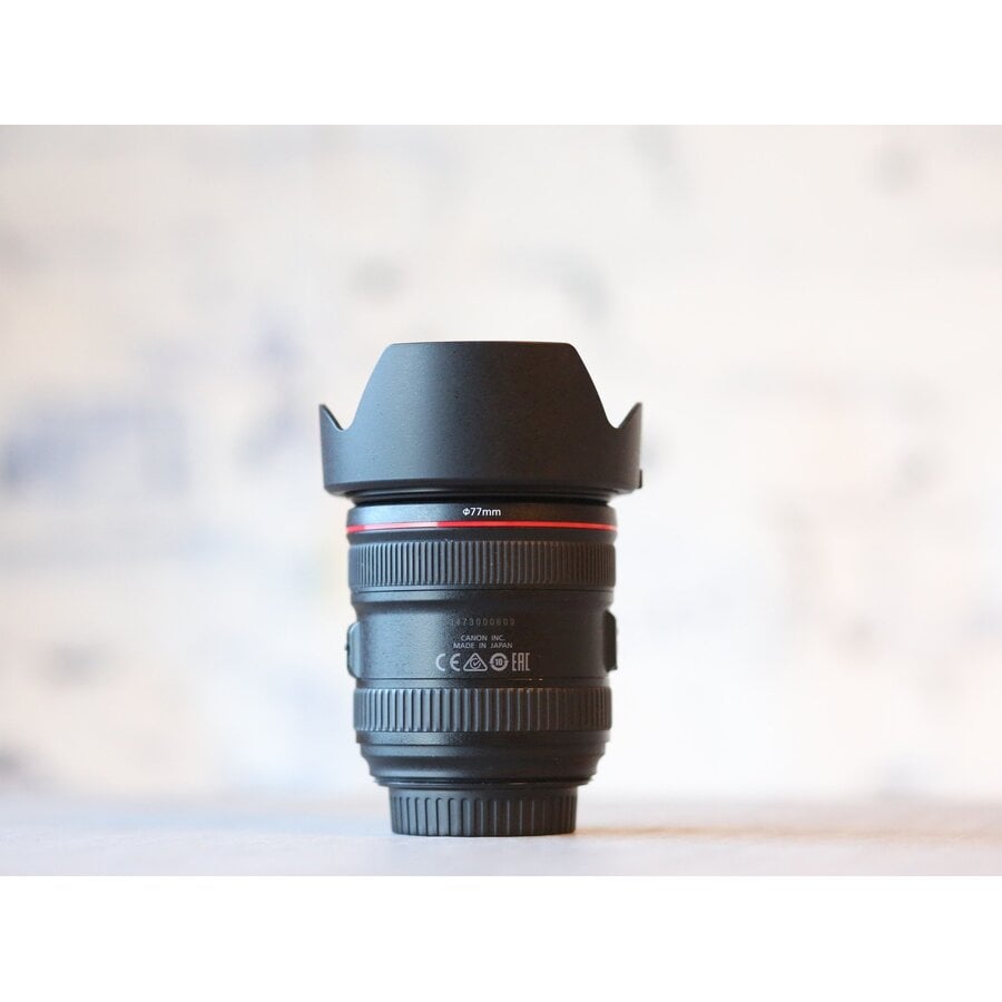 Canon EF 24-70mm f/4L IS USM-3