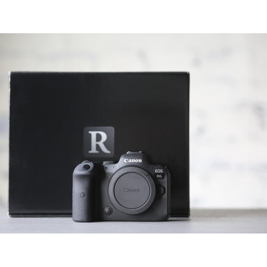 Canon EOS R6-1