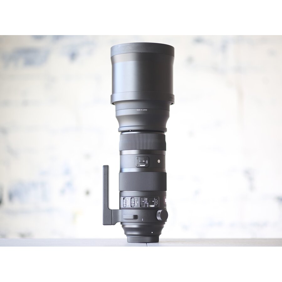 Sigma 150-600mm f/5.0-6.3 DG OS HSM Sports (Canon)-3