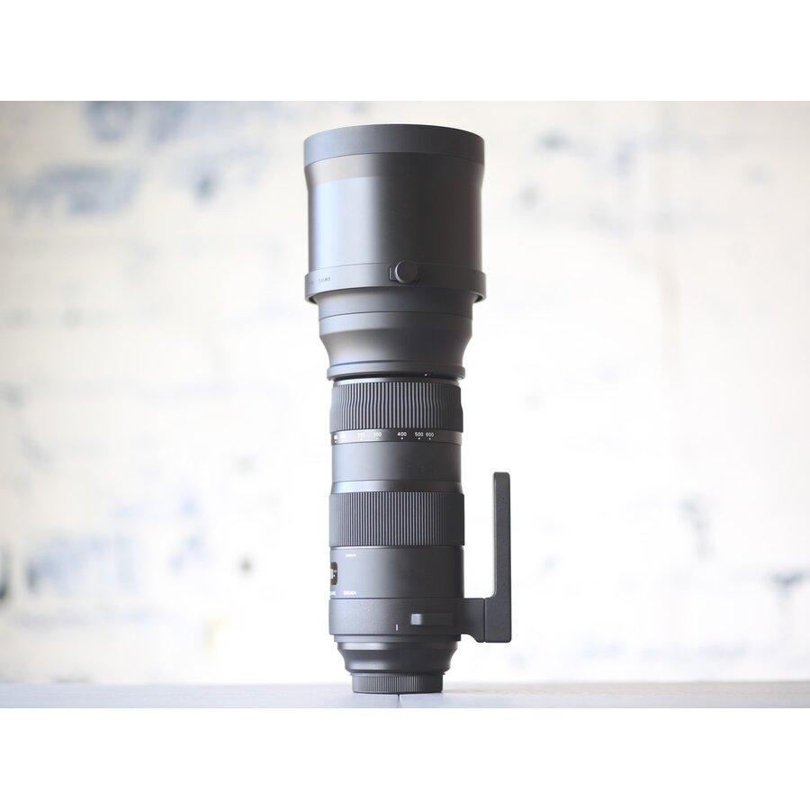Sigma 150-600mm f/5.0-6.3 DG OS HSM Sports (Canon)-4