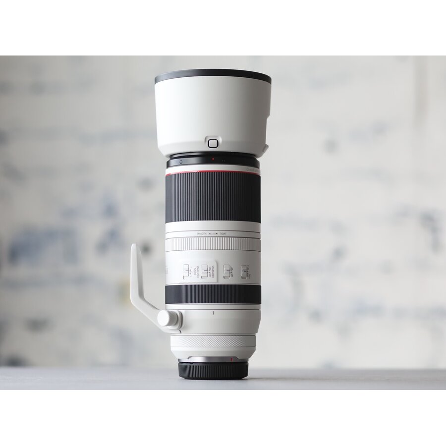 Canon RF 100-500mm F/4.5-7.1L IS USM-3