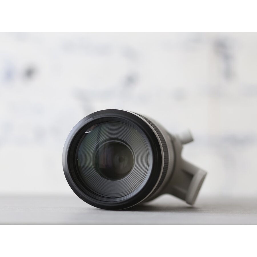 Canon RF 100-500mm F/4.5-7.1L IS USM-5