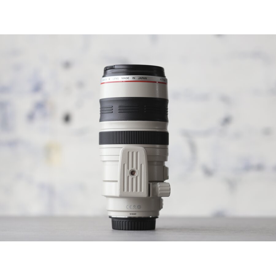 Canon EF 100-400mm f/4.5-5.6L IS USM-5