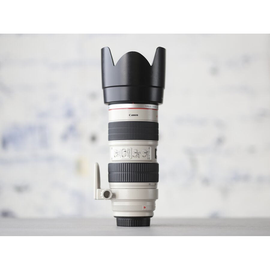 Canon EF 70-200mm f/2.8L IS USM-2