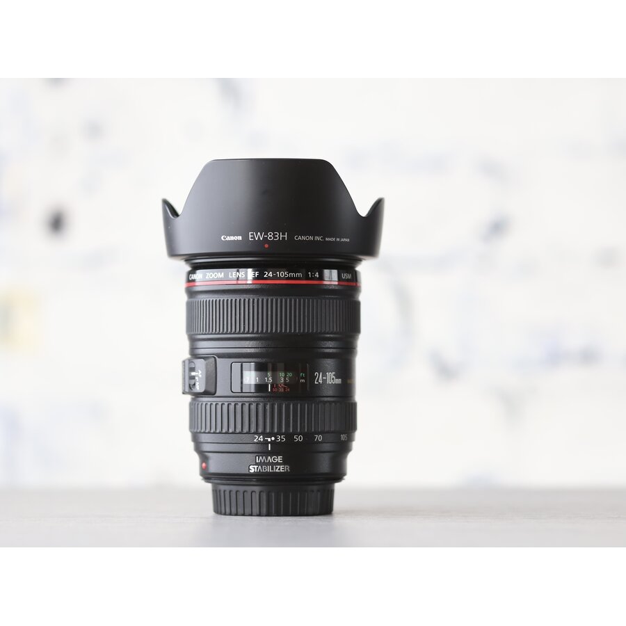 Canon EF 24-105mm f/4L IS USM-1