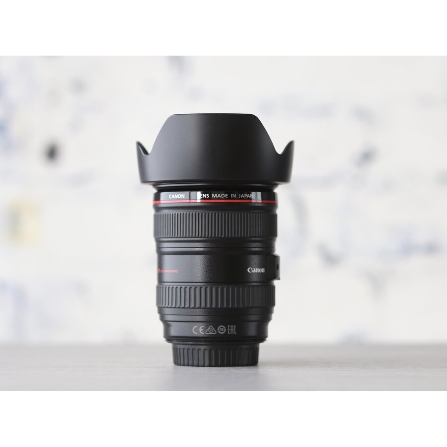 Canon EF 24-105mm f/4L IS USM-2