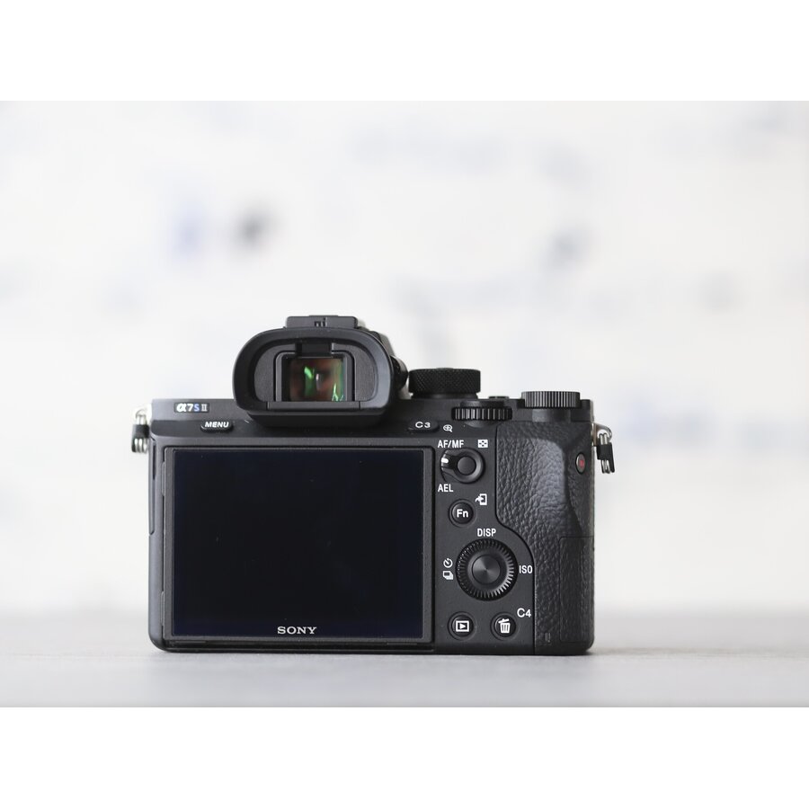 Sony A7S II-2